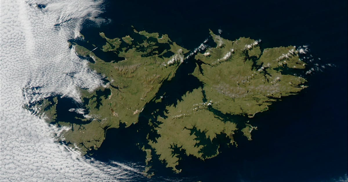 Hasta que las Malvinas ya no duelan