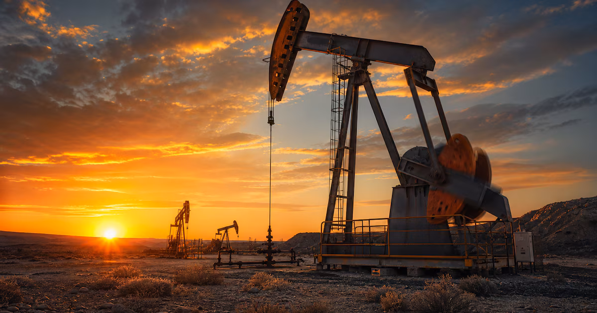 Tres provincias argentinas tienen más exportaciones per cápita que EEUU y otras economías desarrolladas: cuáles son y qué exportan