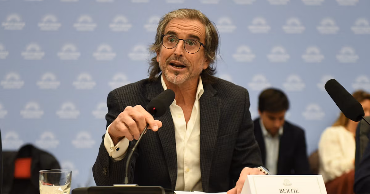 Benegas Lynch se quejó porque piden rescatar “al tipo que compró una TV y, como Argentina no ganó el Mundial, no quiere pagar ”
