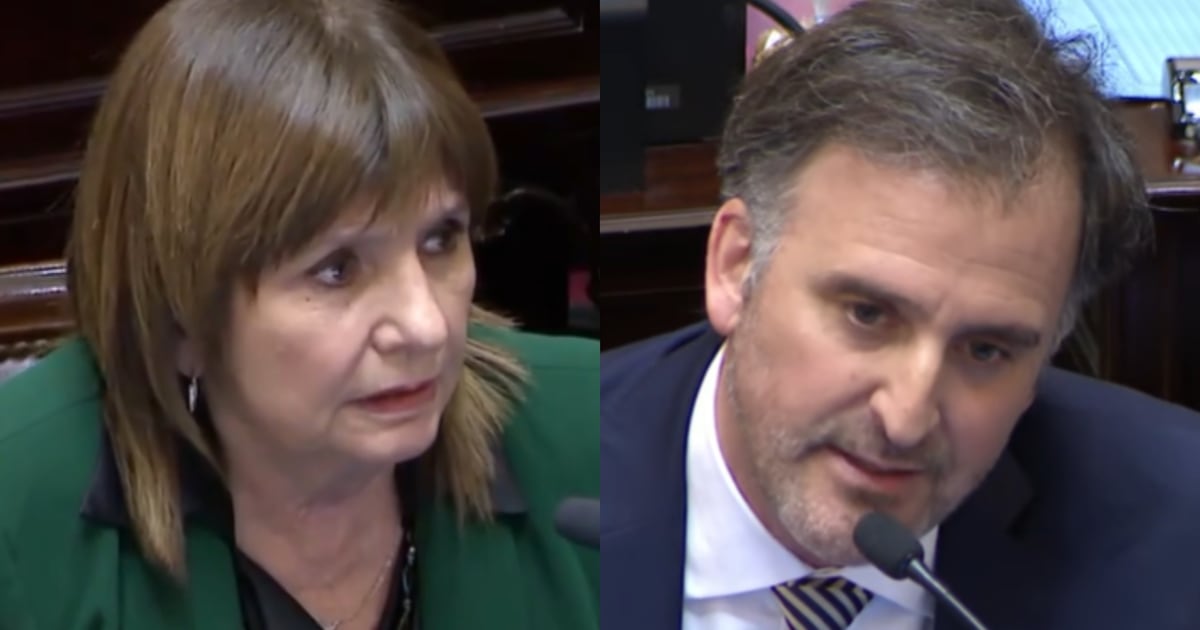 “Nos hiciste perder los votos”: Bullrich explotó contra Benegas Lynch tras el papelón del Gobierno en el Senado