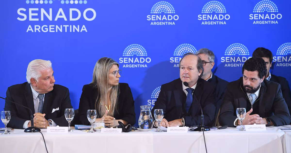El Gobierno busca blindar el Súper RIGI: el secretario de Hacienda irá al Senado por pedido de la oposición