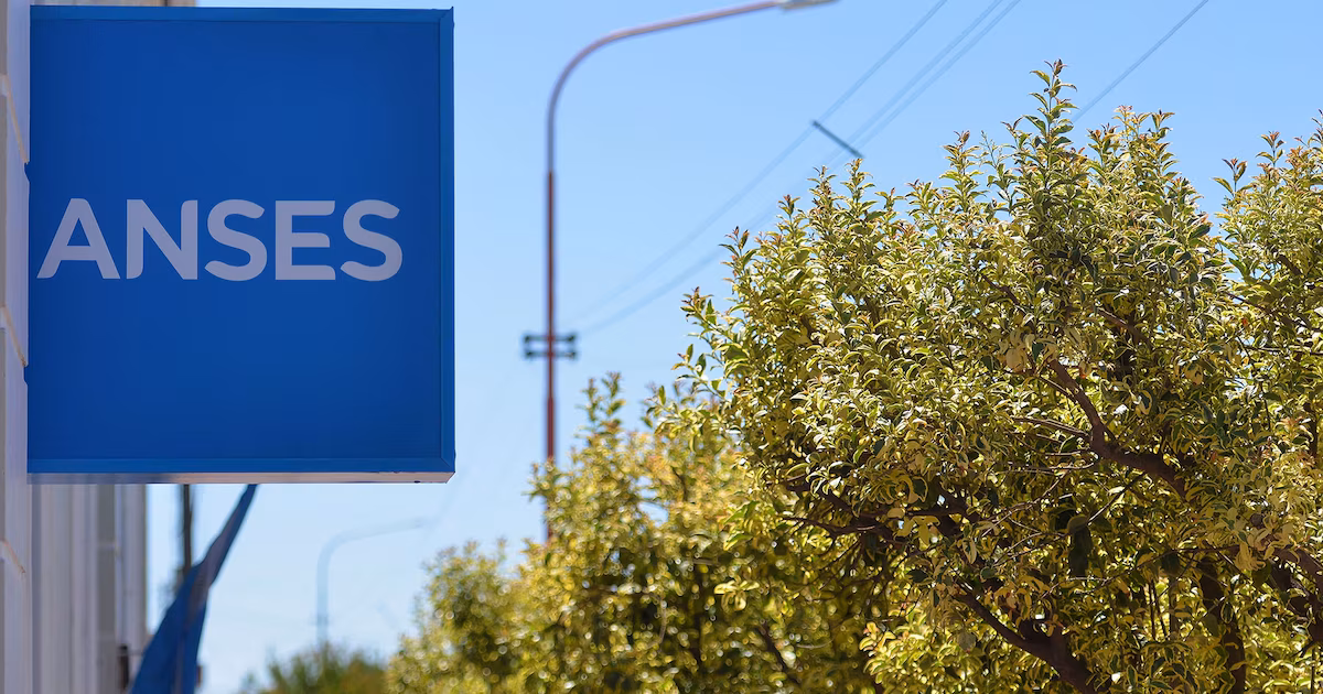 ANSES: quiénes cobran hoy, miércoles 20 de agosto de 2026