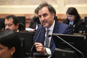 La oposición cuestionó a Benegas Lynch por su empresa para vender campos a extranjeros y el senador libertario se defendió