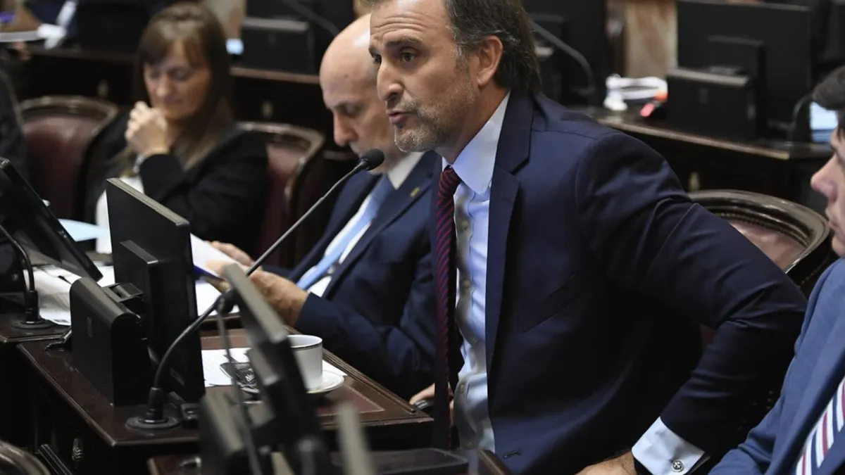 Polémica en la Cámara alta: el senador Joaquín Benegas Lynch encabeza empresa que asesora a extranjeros en la compra de tierras en Argentina
