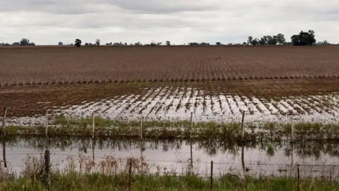 El exceso de lluvias afectó negativamente al agro: “Hay fotos y videos de plantaciones con ruptura de la estructura”