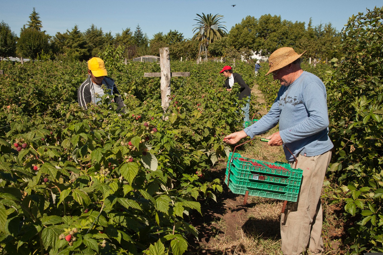 Financiamiento: anunciaron un plan de US$8500 millones para el agro