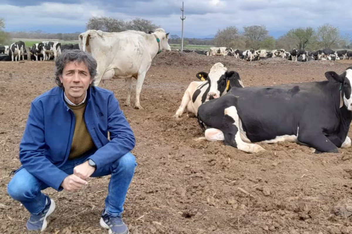 Maneja 1100 hectáreas: el exitoso modelo “multifunción” que creó un empresario que rompe moldes
