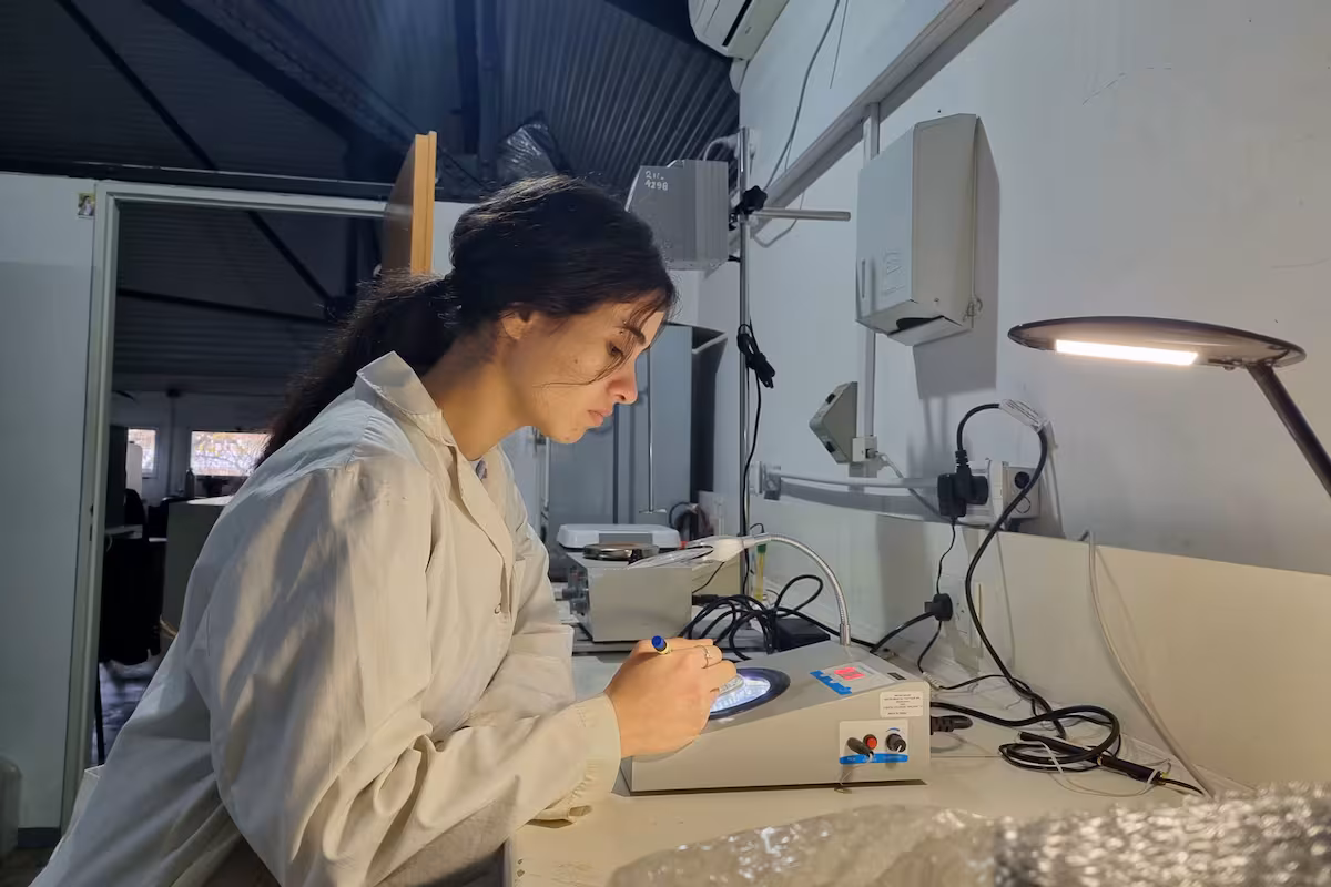 Por primera vez en el mundo: aislaron bacterias que podrían frenar enfermedades de los cultivos