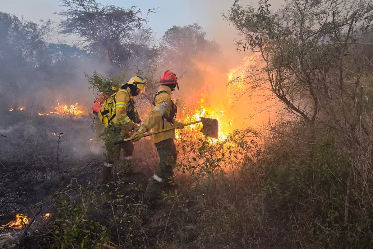 Propiedad privada: entidades del campo lamentaron el retiro del capítulo sobre la ley del manejo del fuego