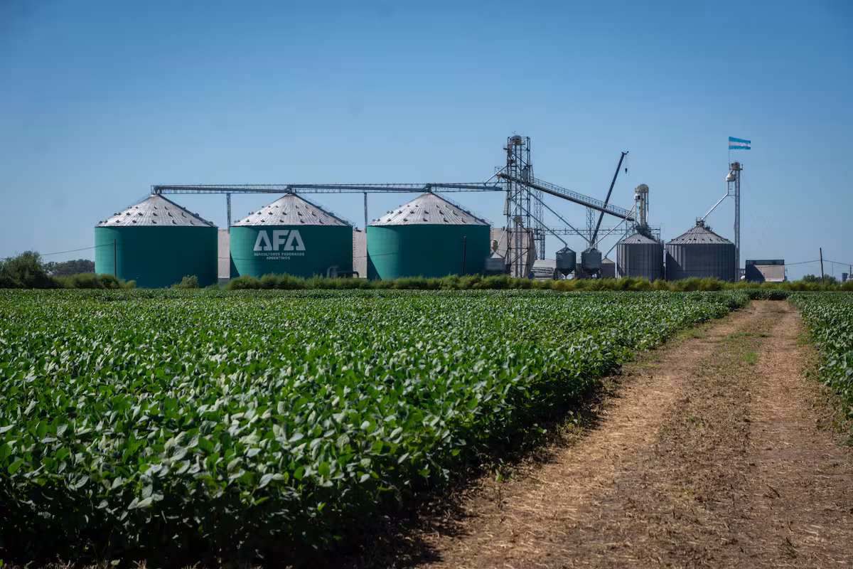 Factura US$2500 millones: una cooperativa agrícola creó un fondo de US$1 millón para financiar proyectos de jóvenes productores