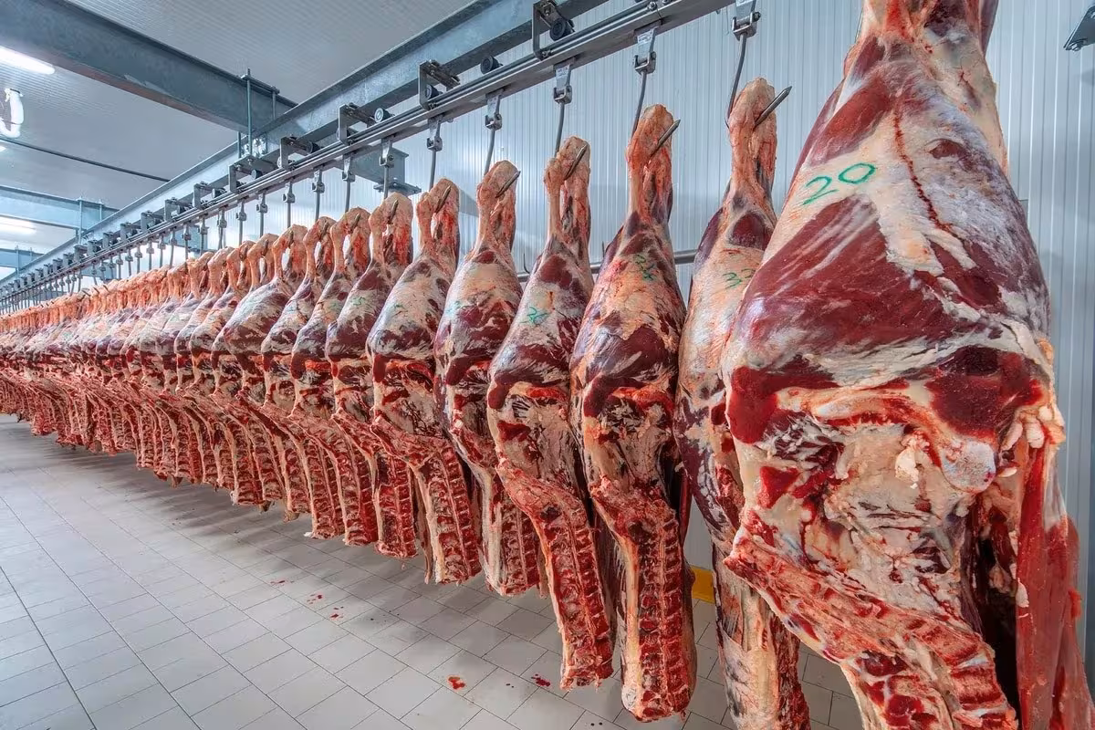 Negocio del año: en lo que va de 2026 ingresaron US$2768 millones por las exportaciones de carne bovina, un 41,8% más