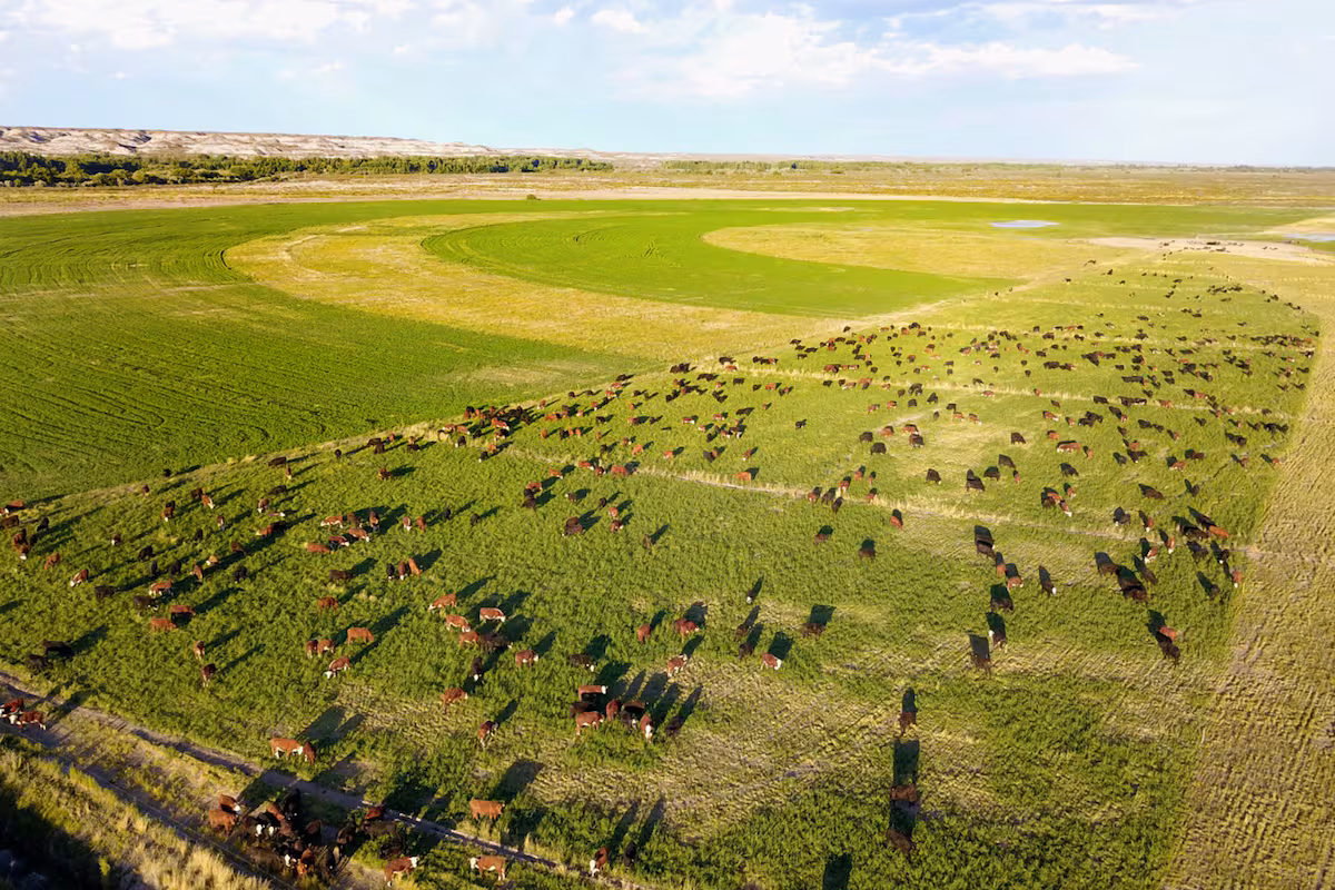 El BID aprobó un crédito de US$80 millones para que Río Negro impulse su producción agropecuaria