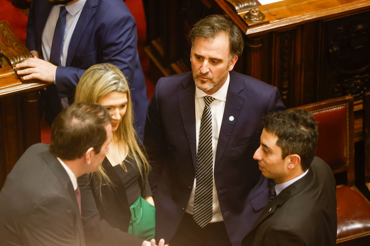 Bronca de los aliados. La crítica de Benegas Lynch a los “tibios del medio” hizo estallar el chat del "grupo de los 44″