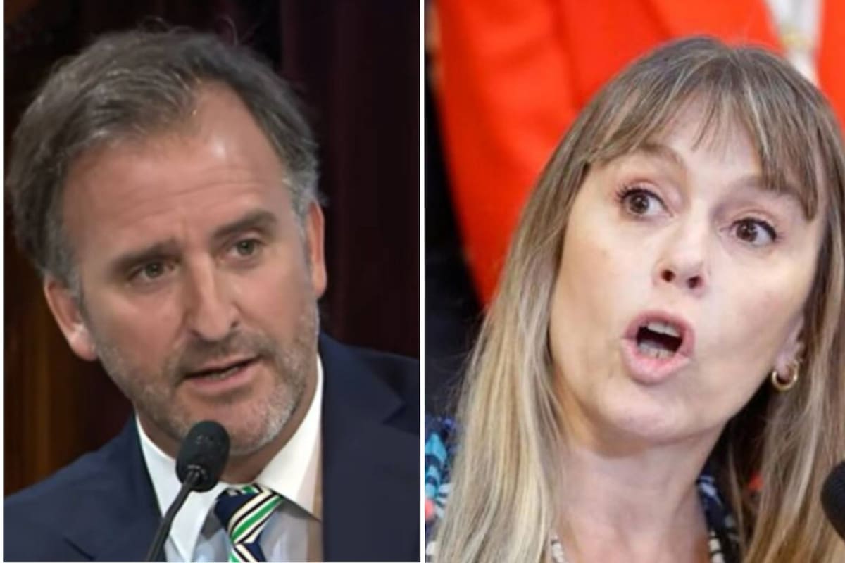 "Es la vieja política". Di Tullio quiso impugnar a Benegas Lynch de la sesión y el senador libertario se defendió