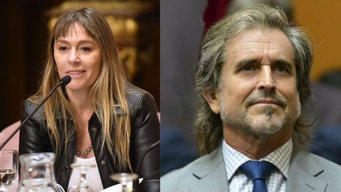 Di Tullio impugnó a Joaquín Benegas Lynch por un presunto conflicto de intereses en el debate de la Ley de Tierras