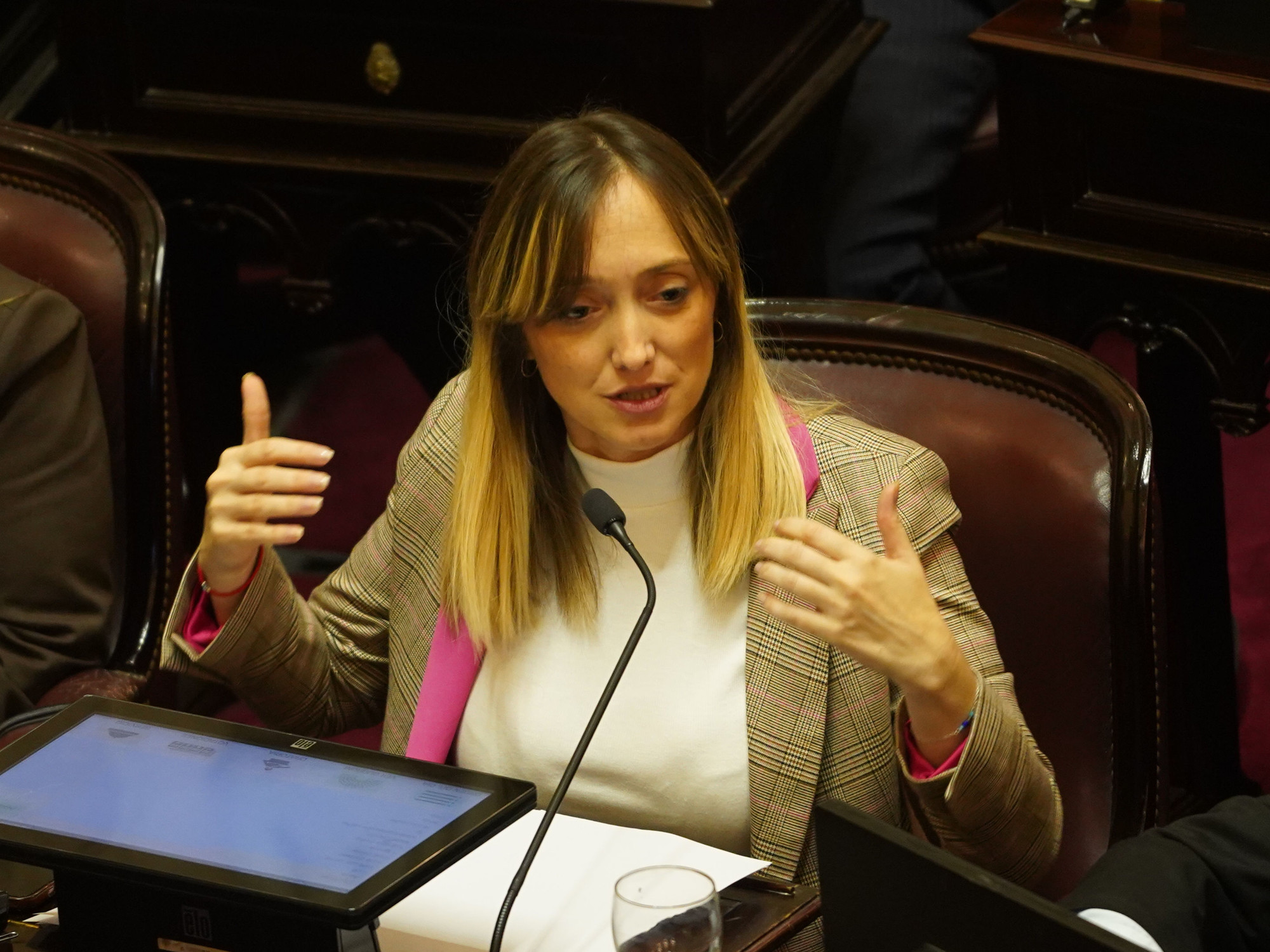Una senadora de La Cámpora pide votar por zoom la Ley de Tierras y Villarruel define un voto que puede ser clave