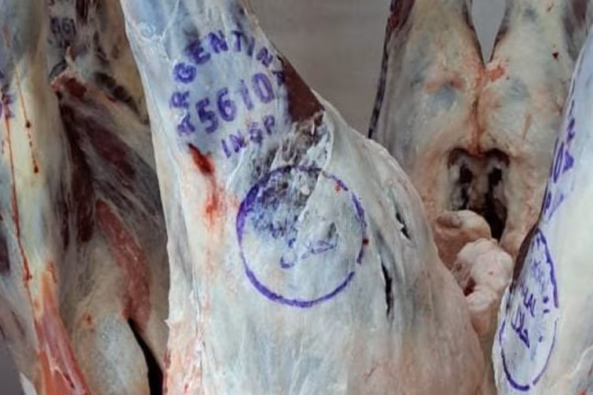 Dinamismo: un producto argentino aumentó un 34% sus exportaciones y ya tiene 44 mercados abiertos