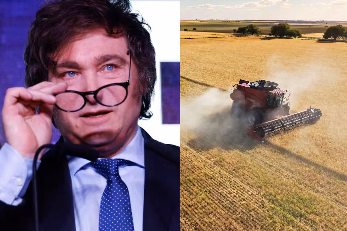 La cosecha que falta vender se valorizó en US$575 millones en solo una semana y es una buena noticia para el campo y el Gobierno