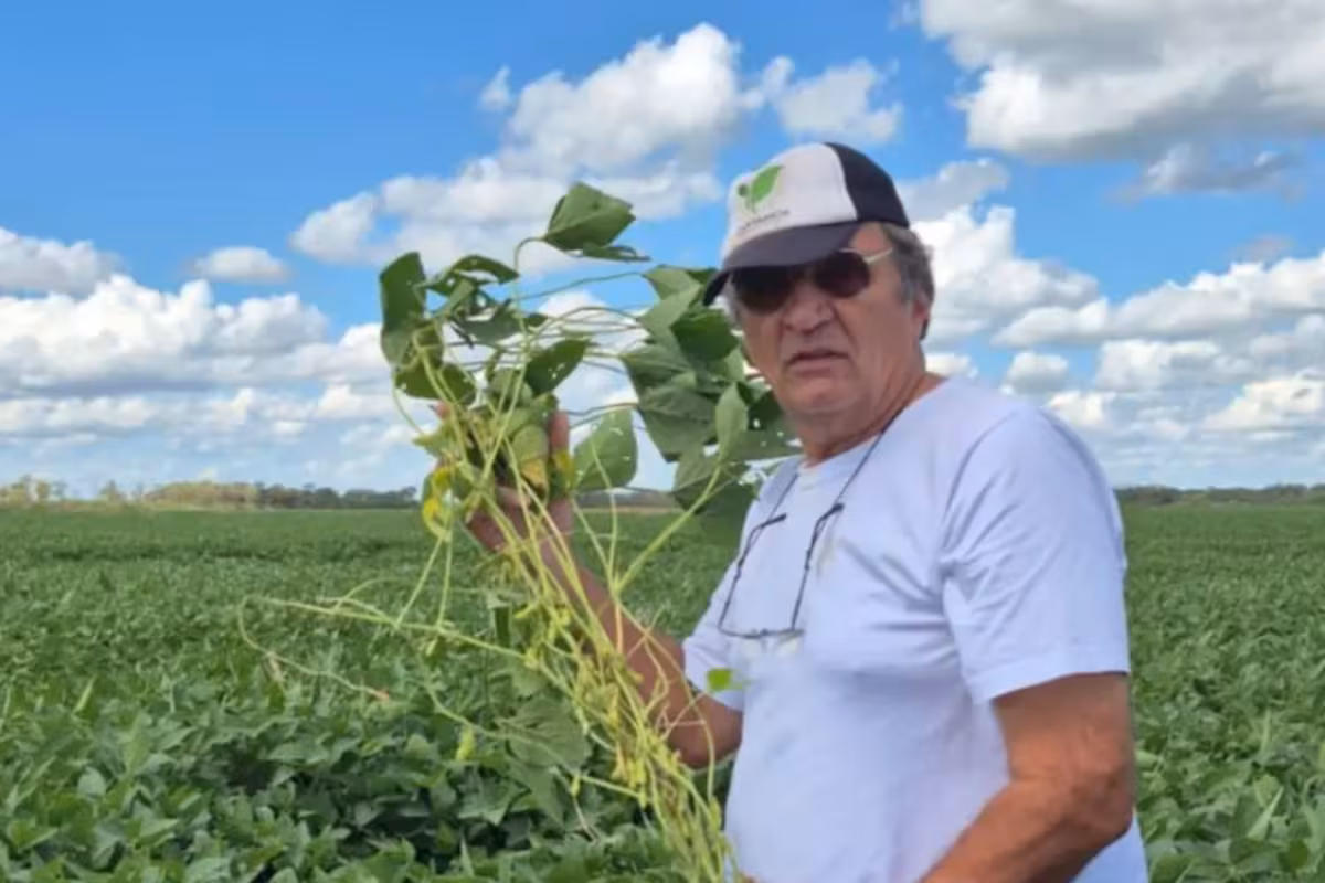 “Irrecuperable”: una empresa agropecuaria del hermano de Jorge Capitanich debe $7512 millones y está en la categoría de mayor riesgo en el Banco Central