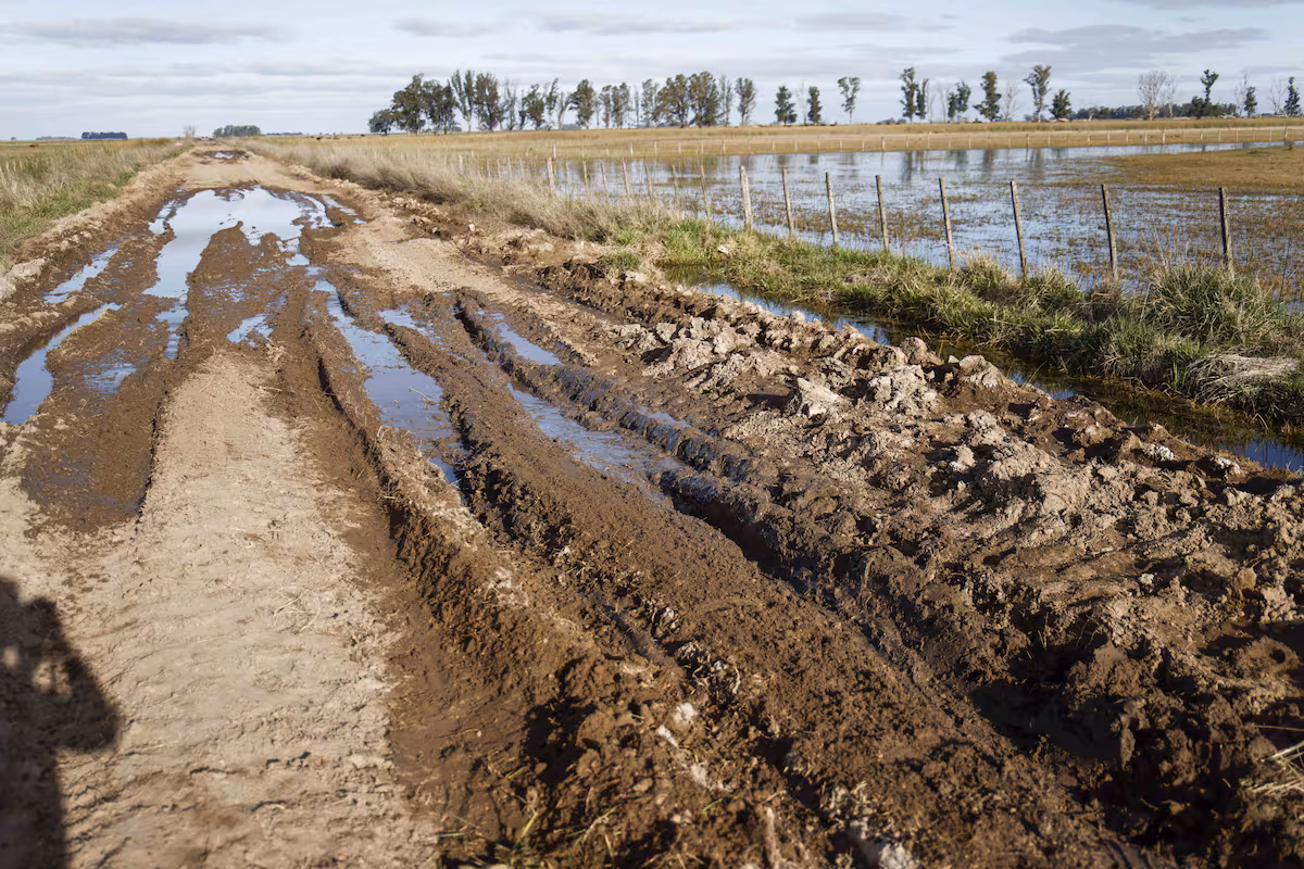 El Niño activó las alarmas en la provincia y piden acciones urgentes