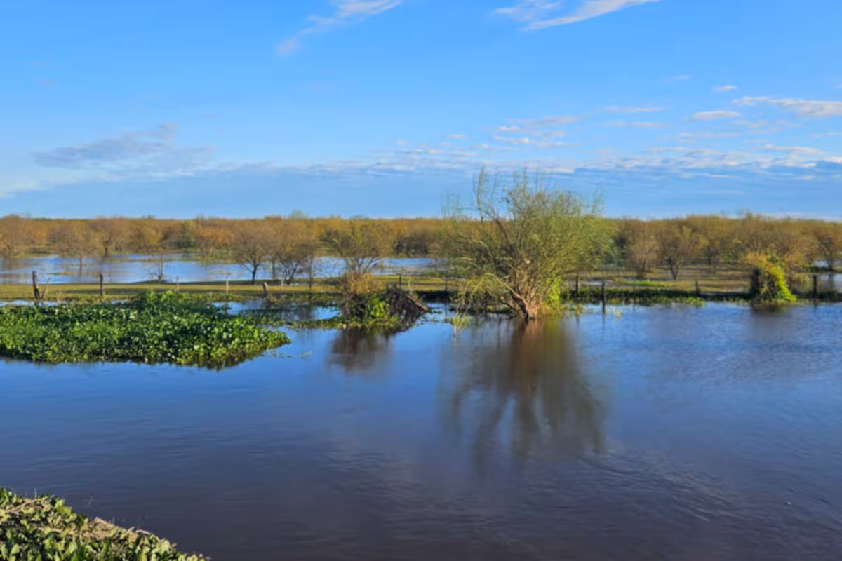 El Niño: reclaman un plan nacional para enfrentar el fenómeno climático extremo y actuar antes de las inundaciones
