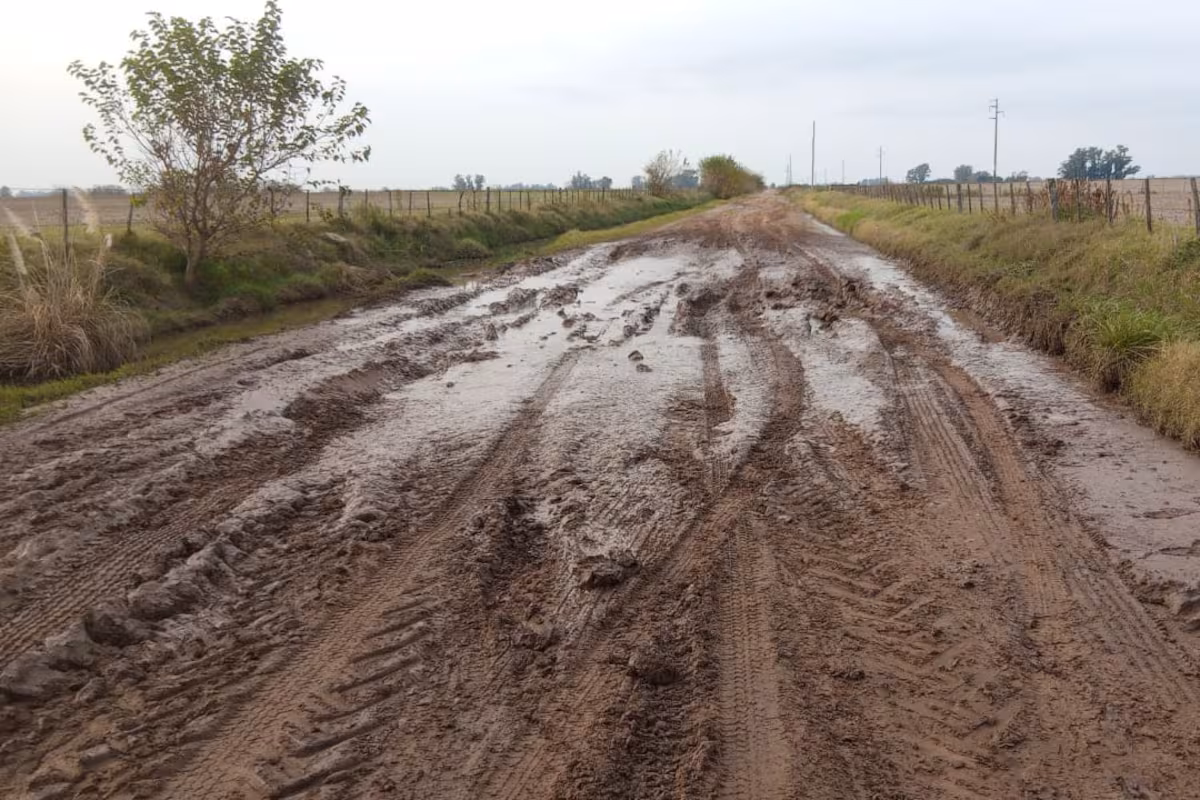 ¿Cómo están los caminos rurales de tu distrito? Contanos tu testimonio