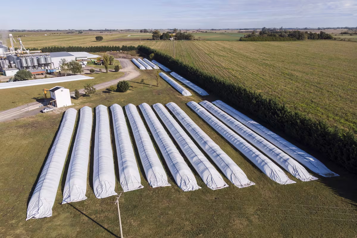 “El problema no fue productivo”: los seis indicadores que hoy definen el éxito de una empresa agropecuaria