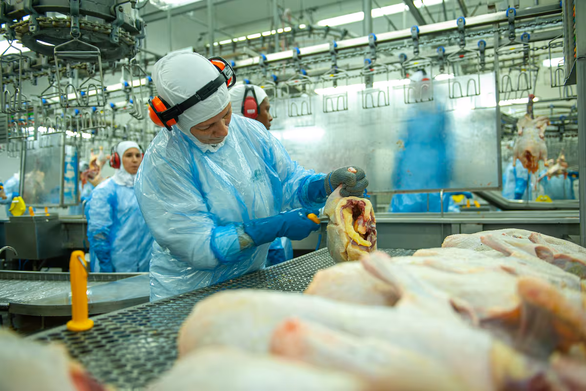 La Argentina logró la reapertura del mercado de Corea del Sur para la carne aviar