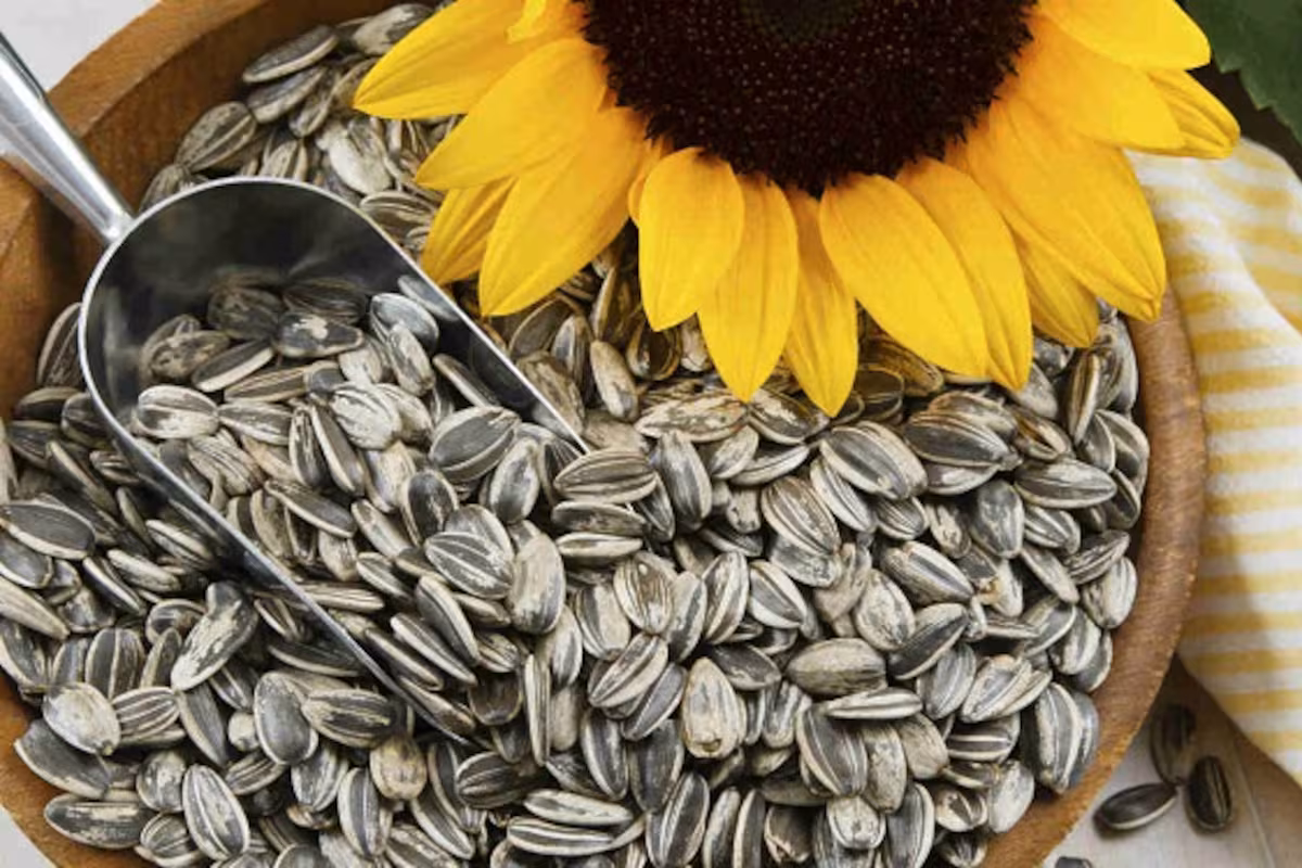 Volaron un 875,4% las exportaciones de semillas de girasol y apoyaron un espectacular boom de divisas