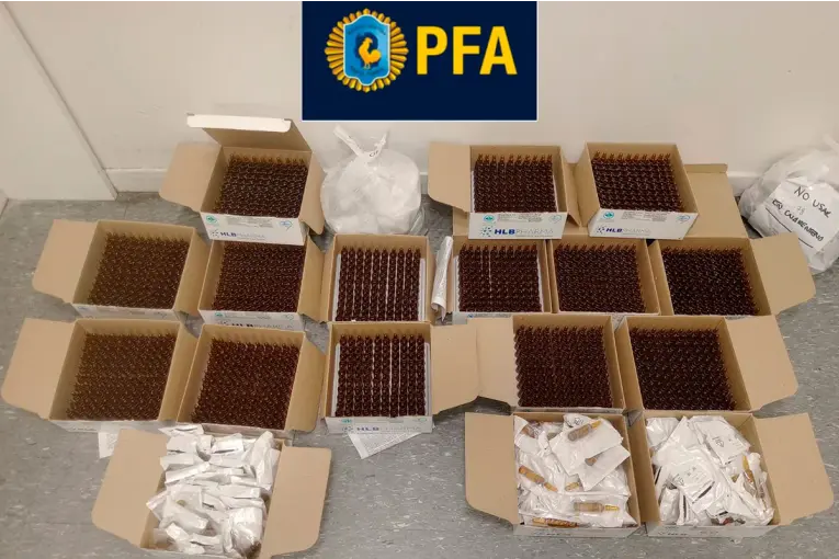 Fentanilo contaminado: detuvieron a dos ex funcionarias de la ANMAT y la Justicia profundiza la investigación