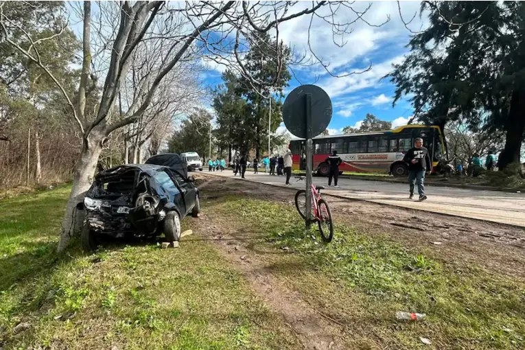 Video: un colectivo rozó un auto que frenó en seco y terminó contra un árbol