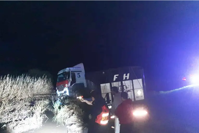 Perdió el control de un camión jaula, despistó en la Ruta 12 y terminó en la banquina