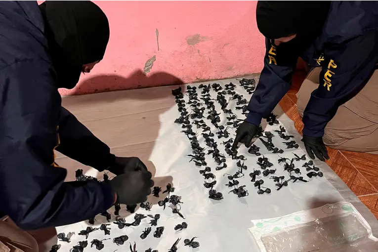 Detuvieron a ocho personas y secuestraron 240 dosis de droga tras allanamientos en Concordia
