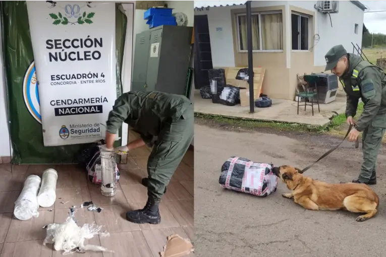 Hallaron marihuana dentro de tubos de PVC durante un control sobre la Ruta 14