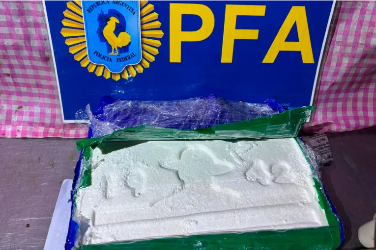 Incautaron ladrillos de cocaína con un particular sello narco y más de $5 millones en Rosario