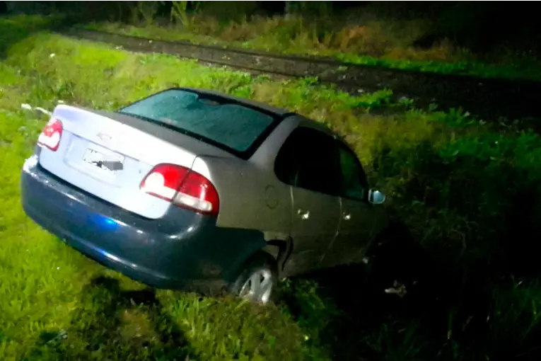 Intentó esquivar a un perro, perdió el control del auto y terminó dentro de una zanja