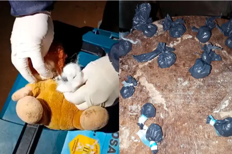 Escondían dosis de cocaína y marihuana en un peluche: dos personas fueron detenidas