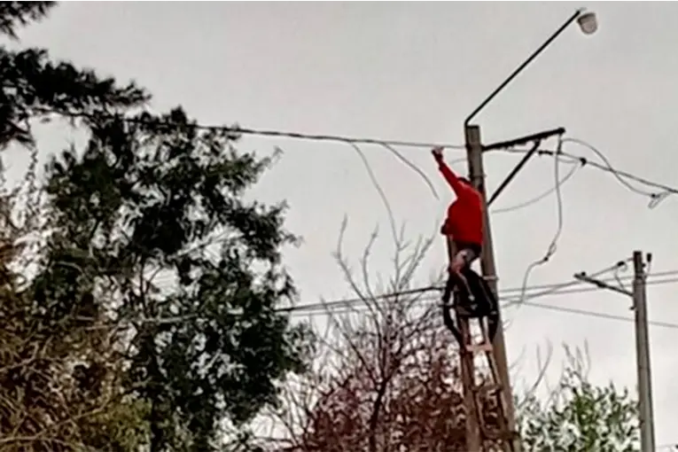 Intentaron “colgarse” de la luz, derribaron un poste y dejaron sin energía a un refugio de animales y viviendas