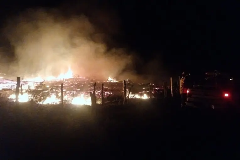 Incendio de pastizales afectó una zona de forestación en cercanías a la Ruta Nacional 12