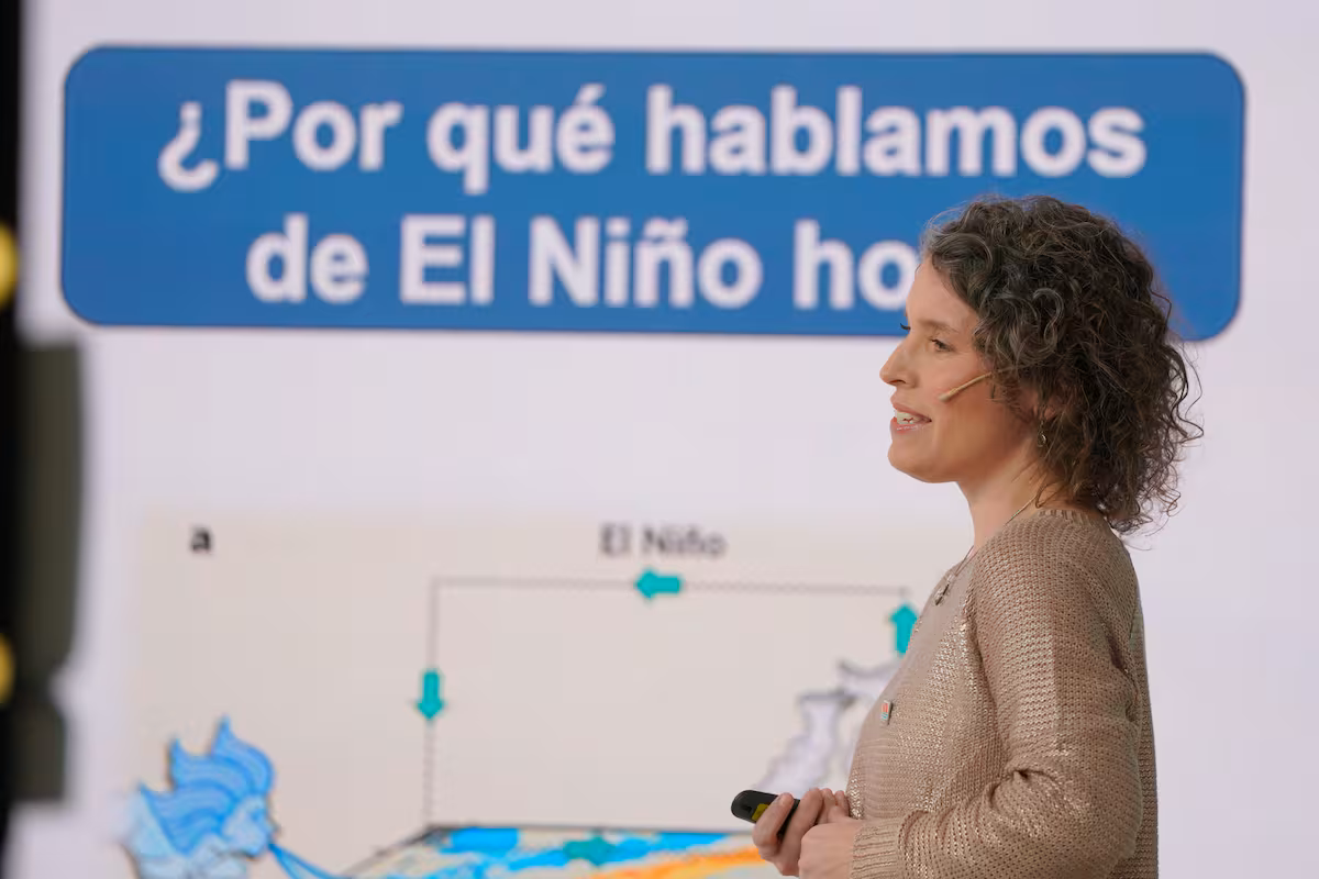 “El Niño nos marca el escenario”: una experta dio las claves para encarar la próxima campaña agrícola