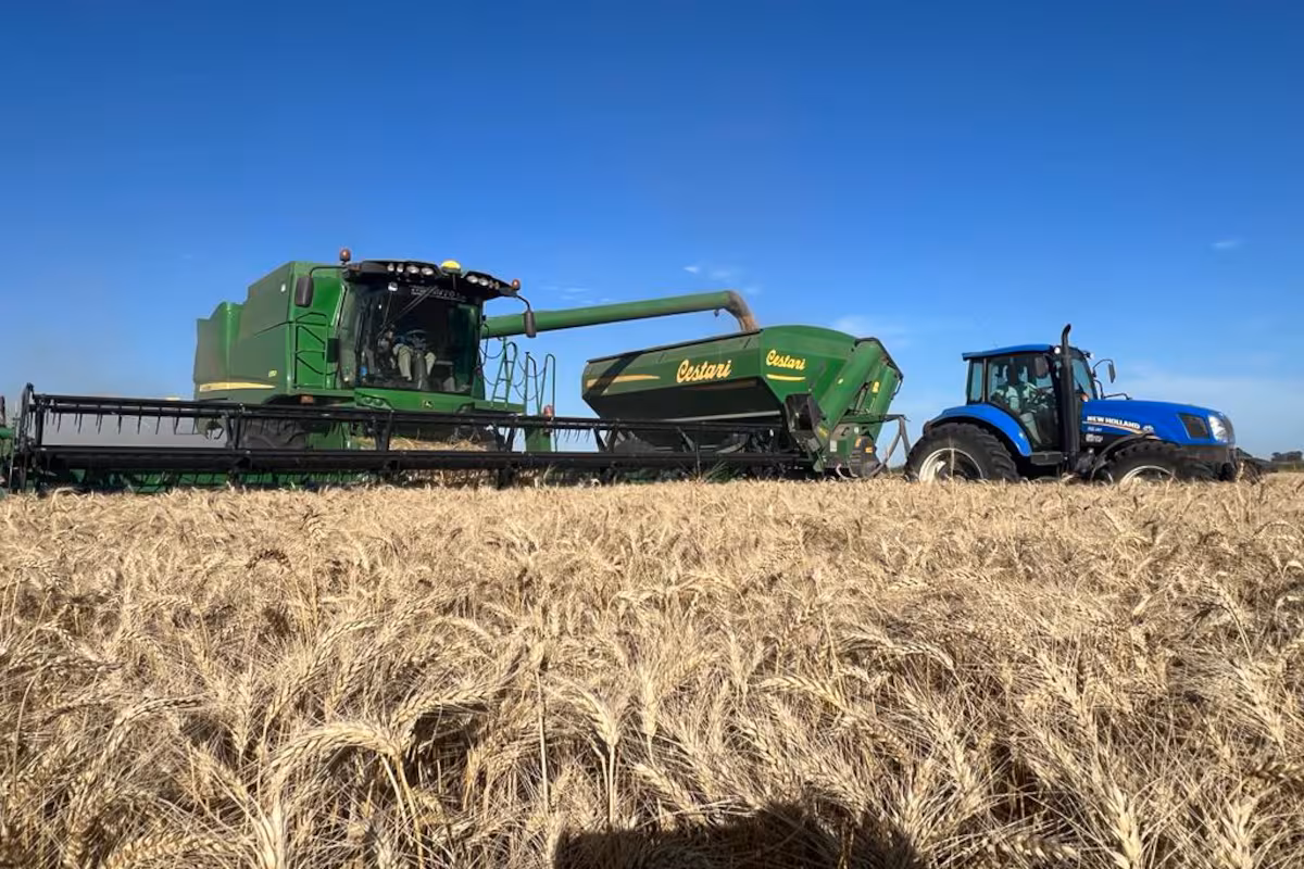 Negocios del Campo: este miércoles se realizará una nueva edición de un clásico del sector agropecuario