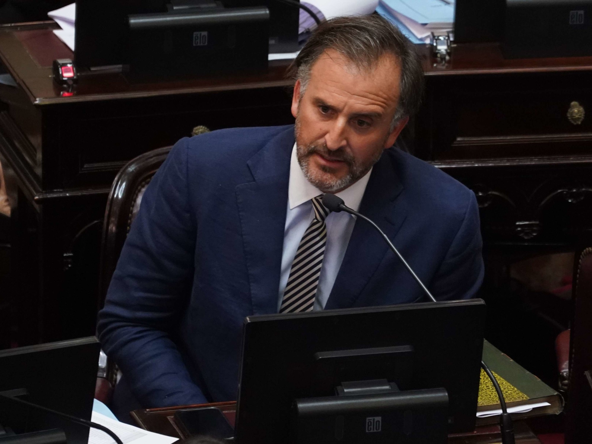 Polémica en el Senado: el libertario Benegas Lynch tiene una empresa que gestiona la venta de terrenos a extranjeros y el peronismo salió a cruzarlo