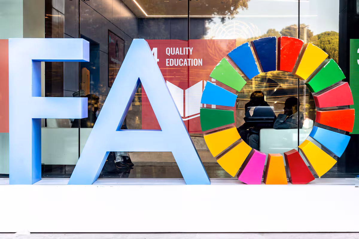Opinión: la Argentina debe ocupar un lugar central en la gobernanza mundial de los alimentos, fibras y bioenergías