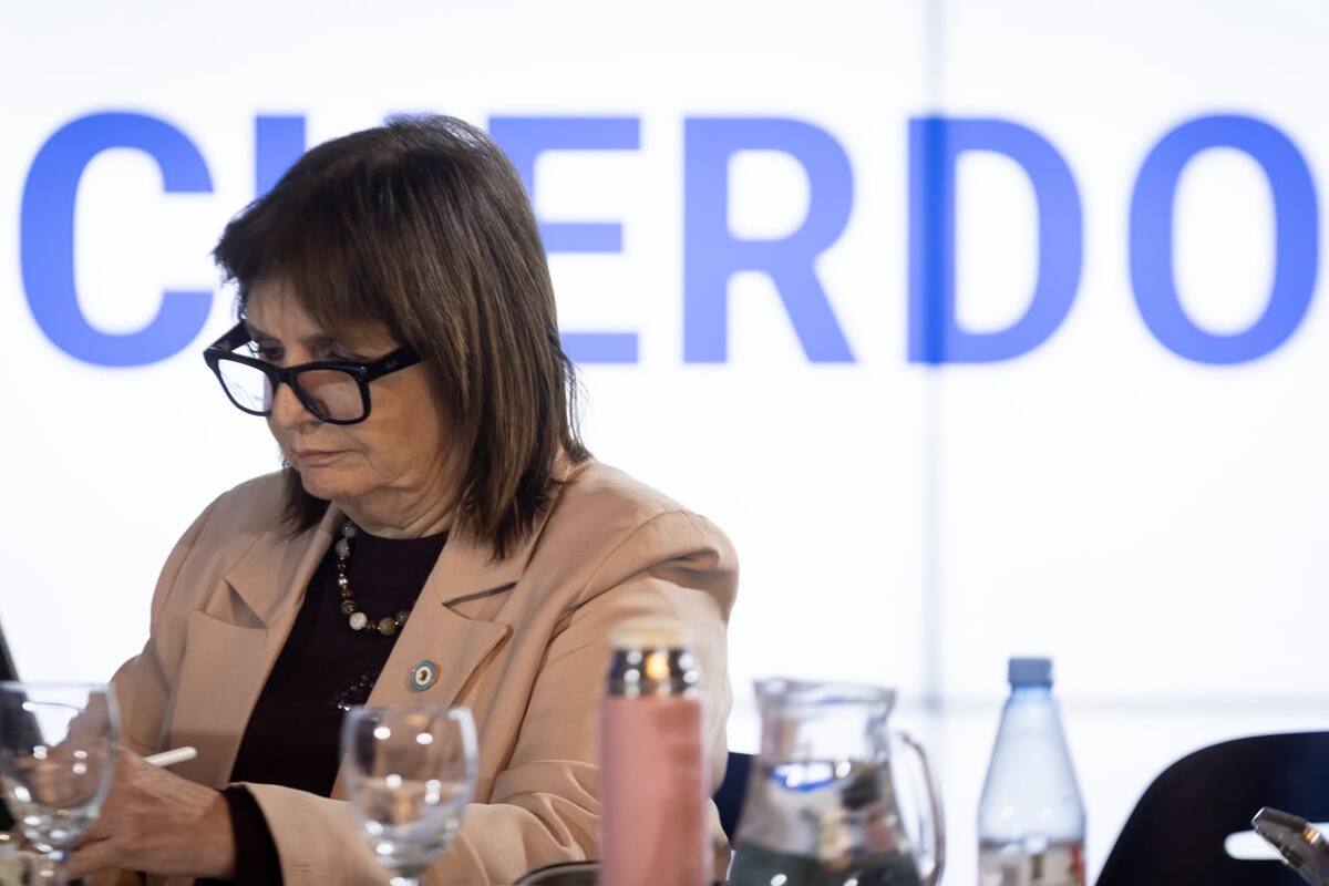 Senado. Bullrich busca consenso en ministros provinciales para avanzar con cambios a la ley de Salud Mental
