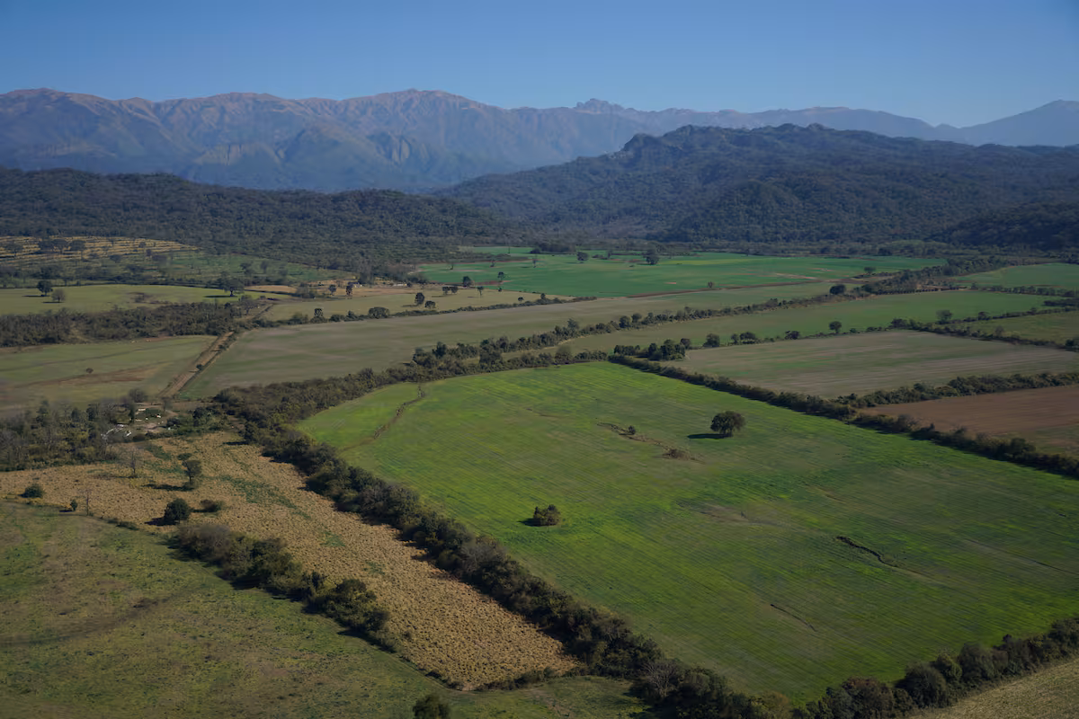 El potencial agropecuario de las zonas extrapampeanas