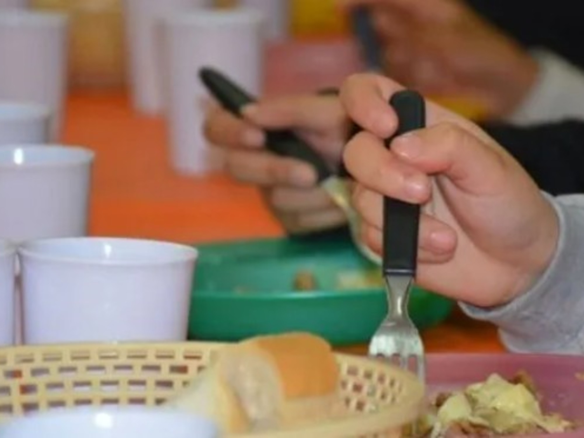 Detectaron irregularidades por más de $100 millones en comedores escolares de Entre Ríos: nadie sabe quién se queda con la plata que falta