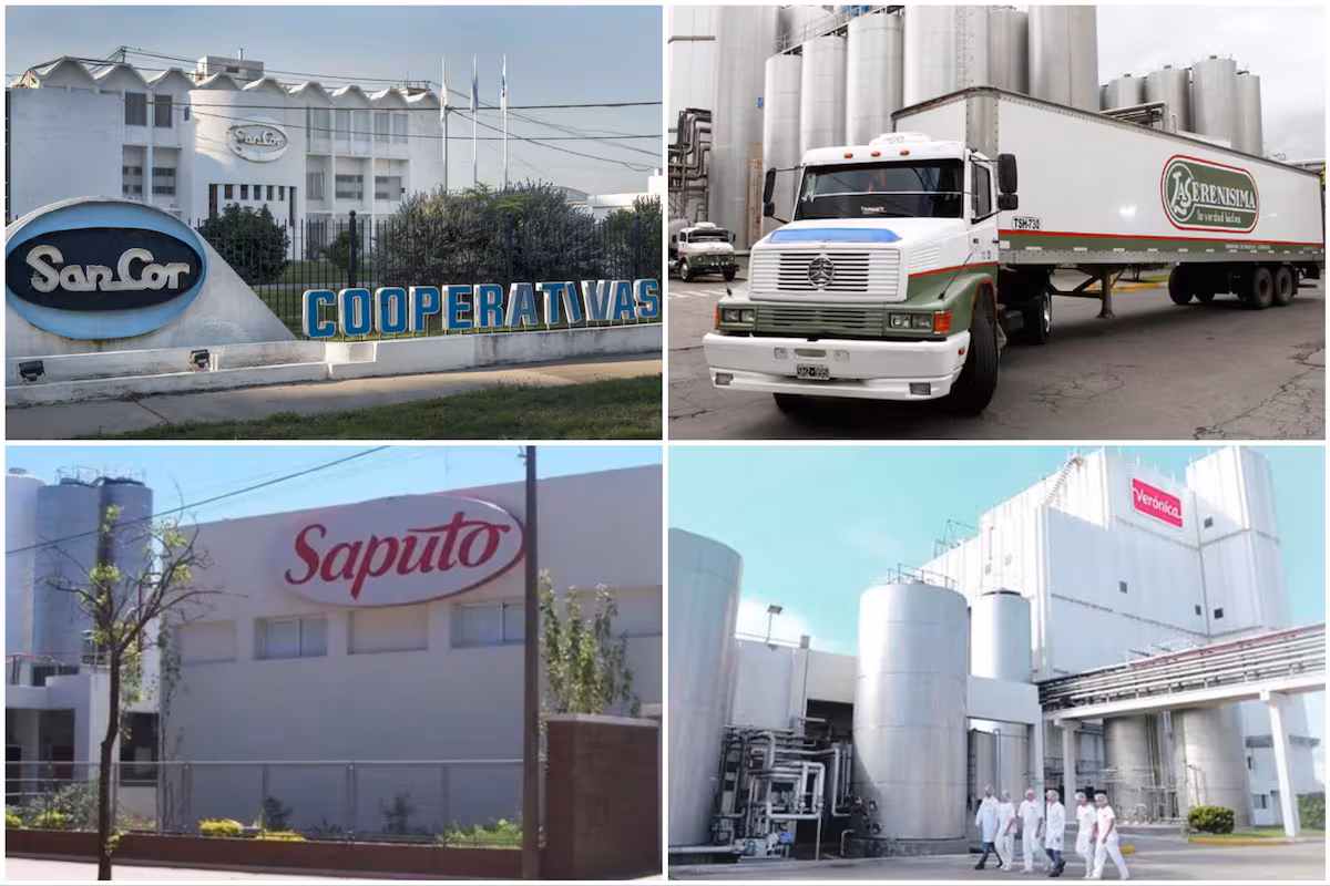 Nuevos dueños, cierres y firmas históricas que desaparecieron: así quedó el nuevo mapa de la industria láctea argentina