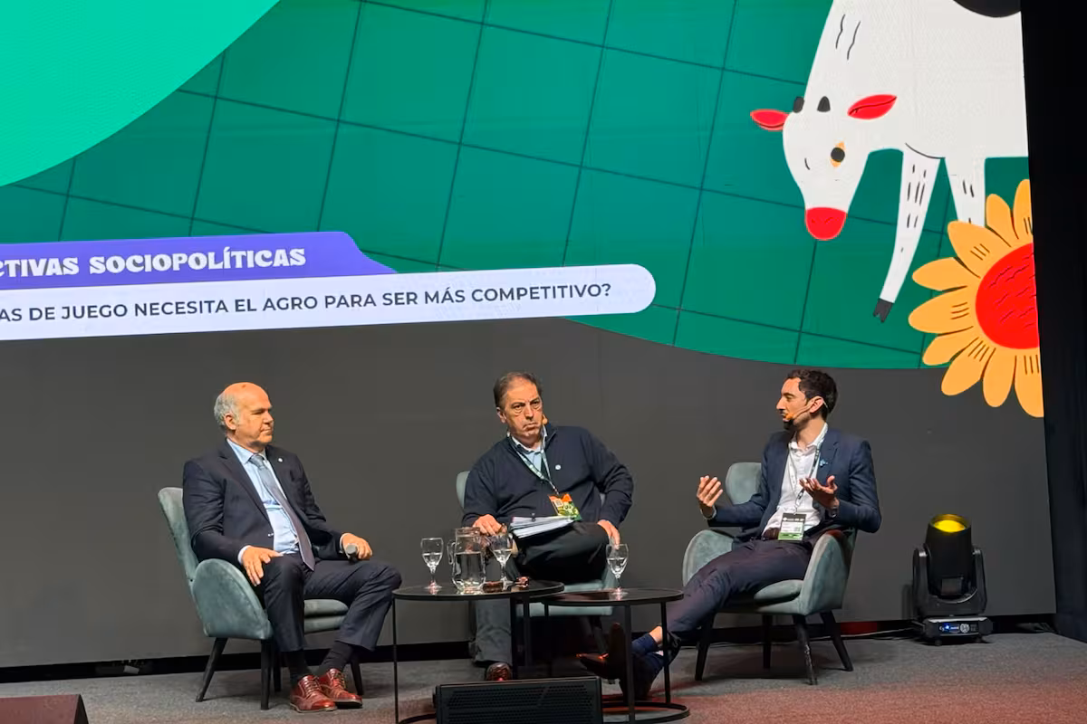 “Que cada productor decida”: el Gobierno ratificó una iniciativa para que el aporte al Instituto de la Carne sea voluntario