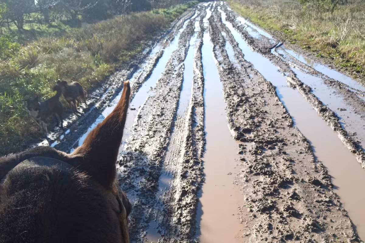 “Tenía un Gol y no podía entrar”: es directora de una escuela rural y recorre 50 kilómetros de más porque un camino tiene pantanos