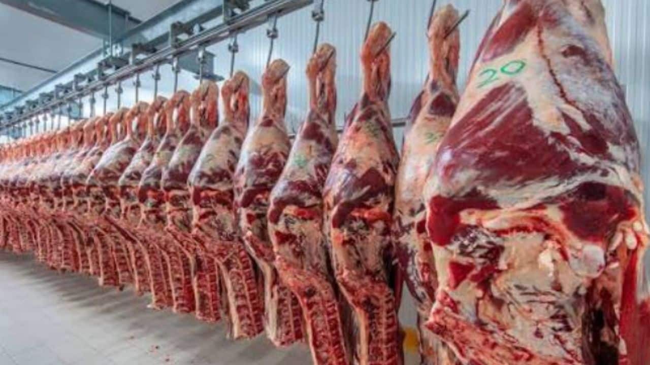 Tras 20 años, Japón reabrió su mercado a la carne argentina y apunta a un particular corte